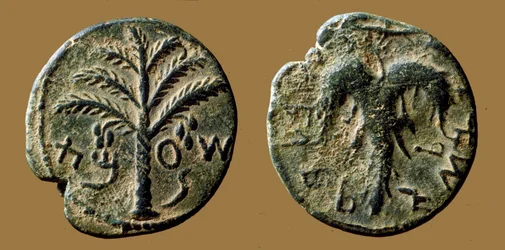 Mynter til minne om Bar-Kokhba-opprøret mot romerne, 132-133 (bronse)